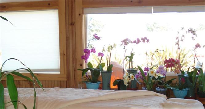 Coast Inn And Spa Fort Bragg Extérieur photo